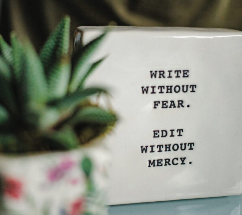 Write Without Fear Mug