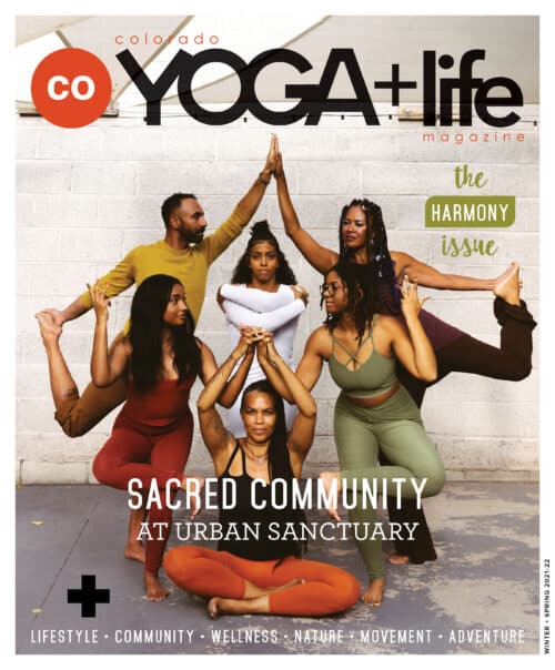 Try It On : AnaOno  By Lexi Reich – YOGA + Life® Magazines